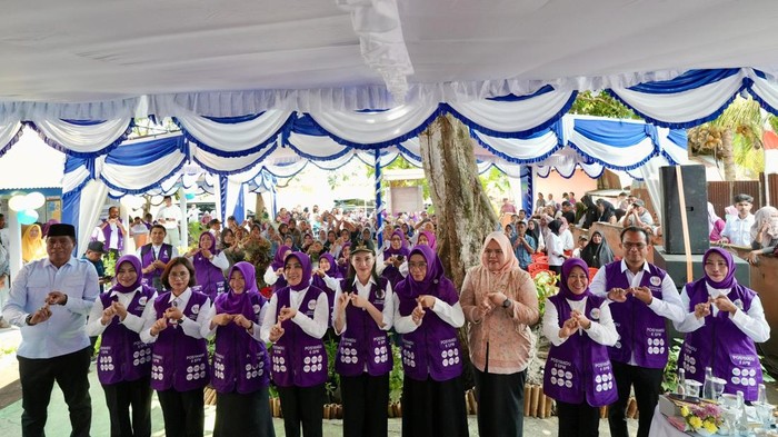 Ketum TP Posyandu Dorong Penguatan Enam Bidang SPM untuk Perluas Pelayanan Masyarakat